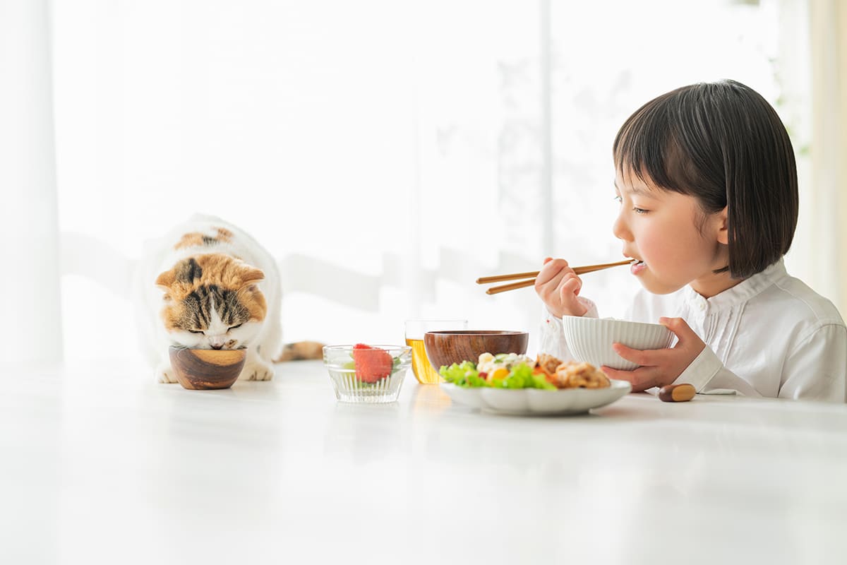 食育とは