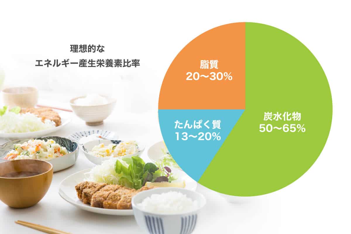 理想的なエネルギー産生栄養素の割合