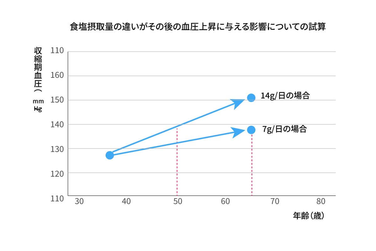 食塩摂取量試算グラフ